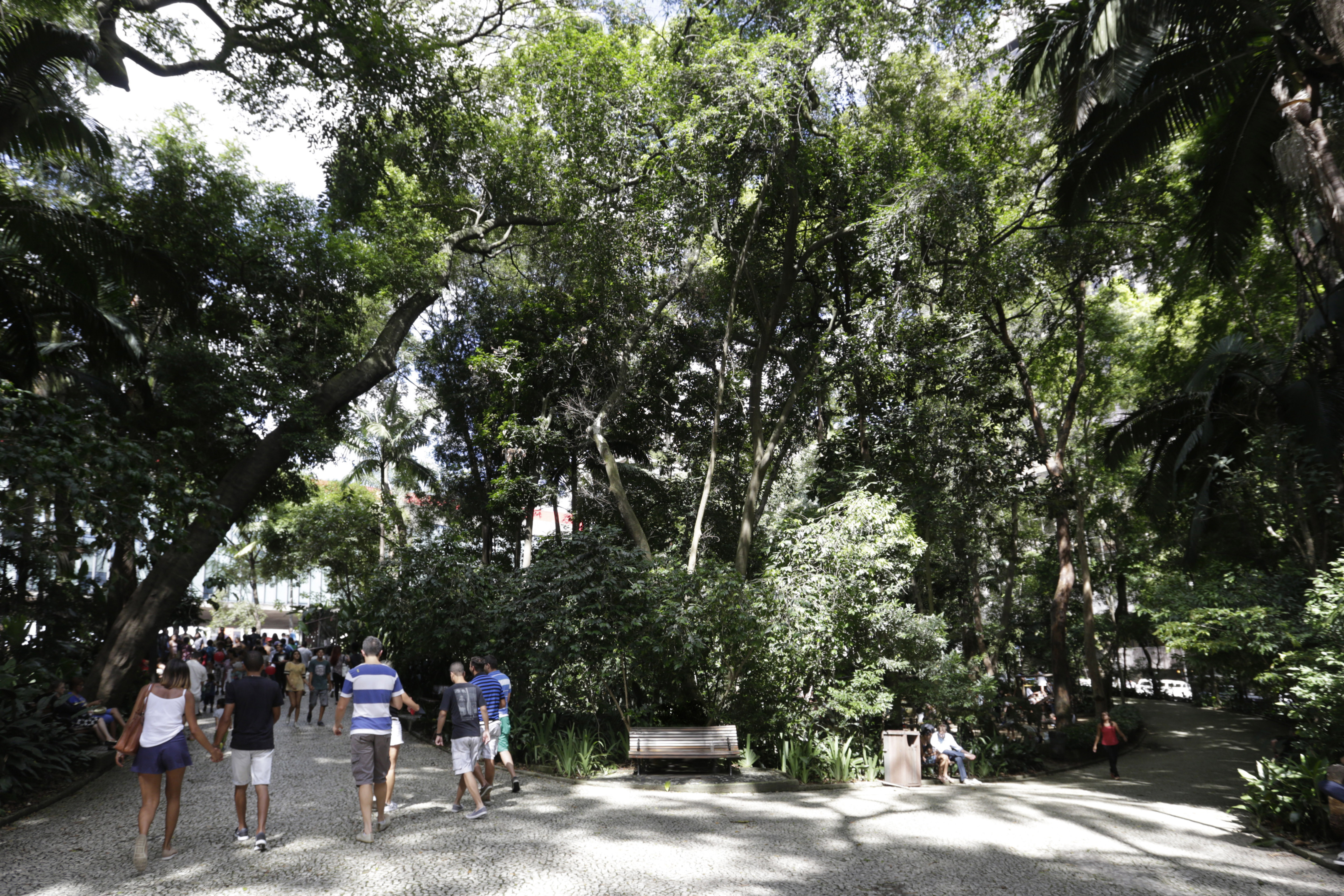 Parque Trianon – São Paulo