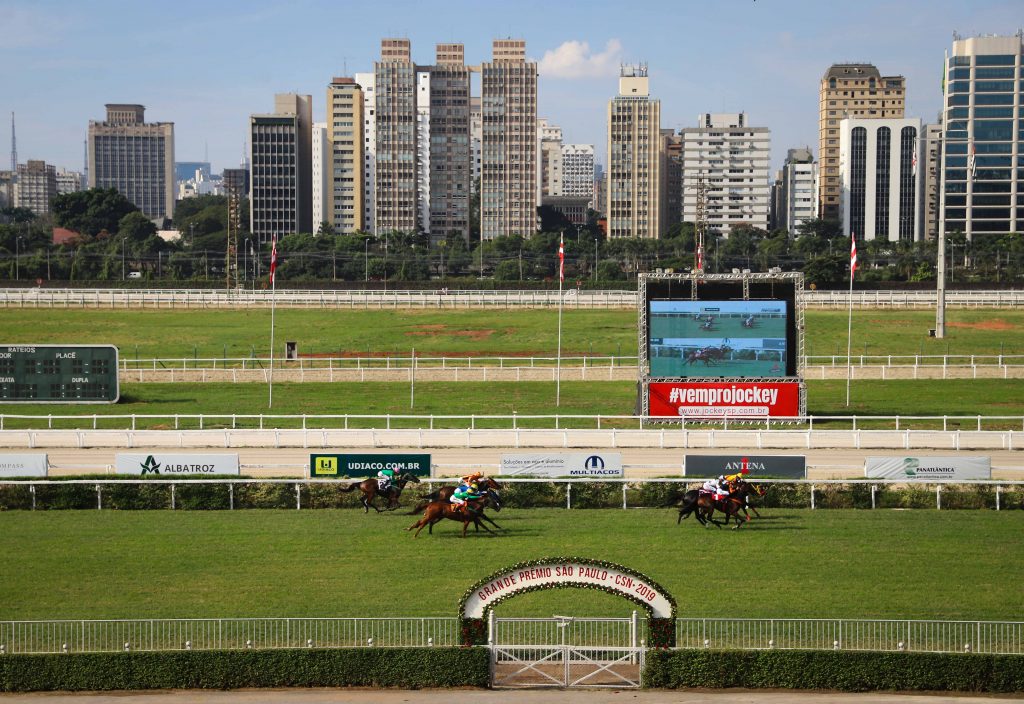 Apaixonado por cavalos, Freitas foi dono de um haras e presidente do Jockey Club de São Paulo (foto)