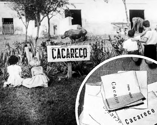 Montagem-cacareco